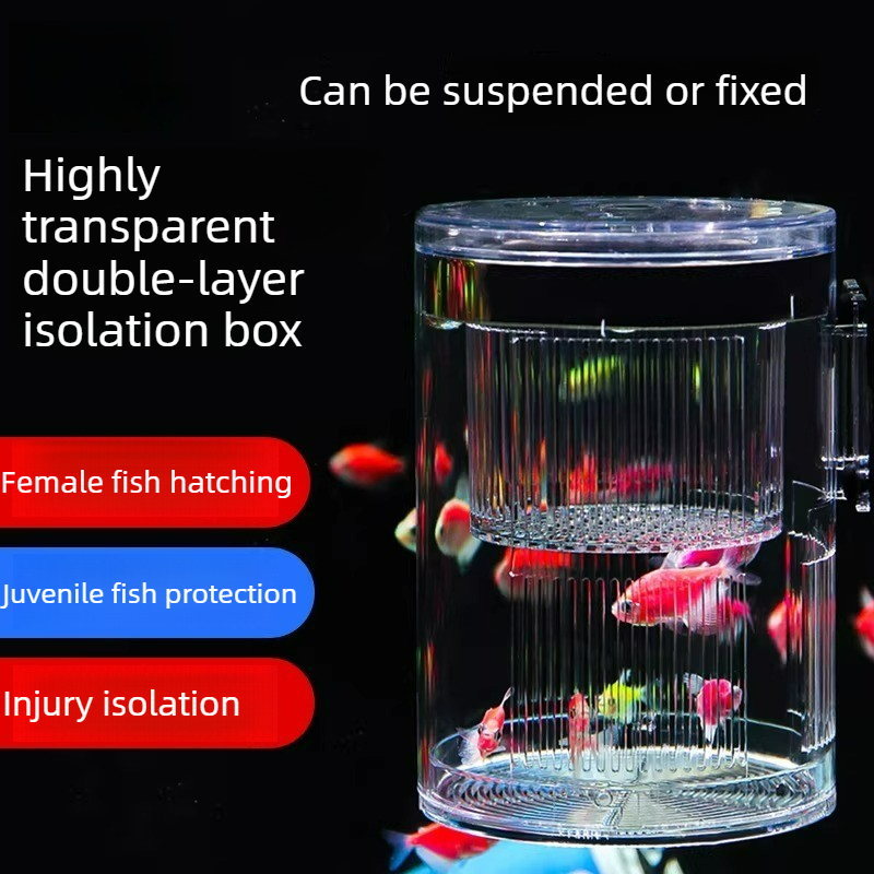 Aquarium Fish Parrot - Akrylowy pojemnik hodowlany, akwarium, izolowany lęg