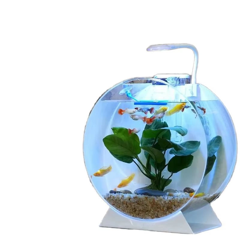 Aquarium Fish Sale - Wyprzedaż Nowoczesne Ekologiczne Akrylowe Akwaria Różne