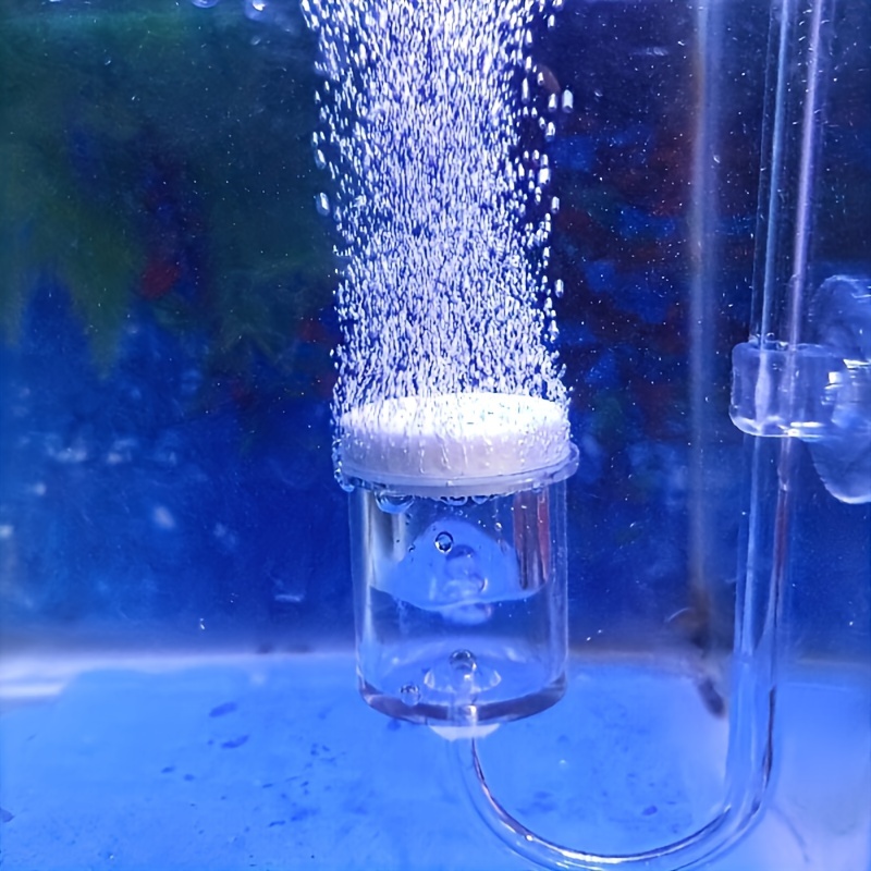 Aquarium Fish And Supplies - Szklany atomizer CO2 do akwarium Dyfuzor