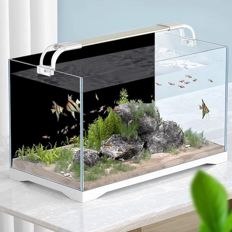 Tapeta Akwarium Czarne Tło Akw – Aquarium Fish Wallpaper recenzja i cena