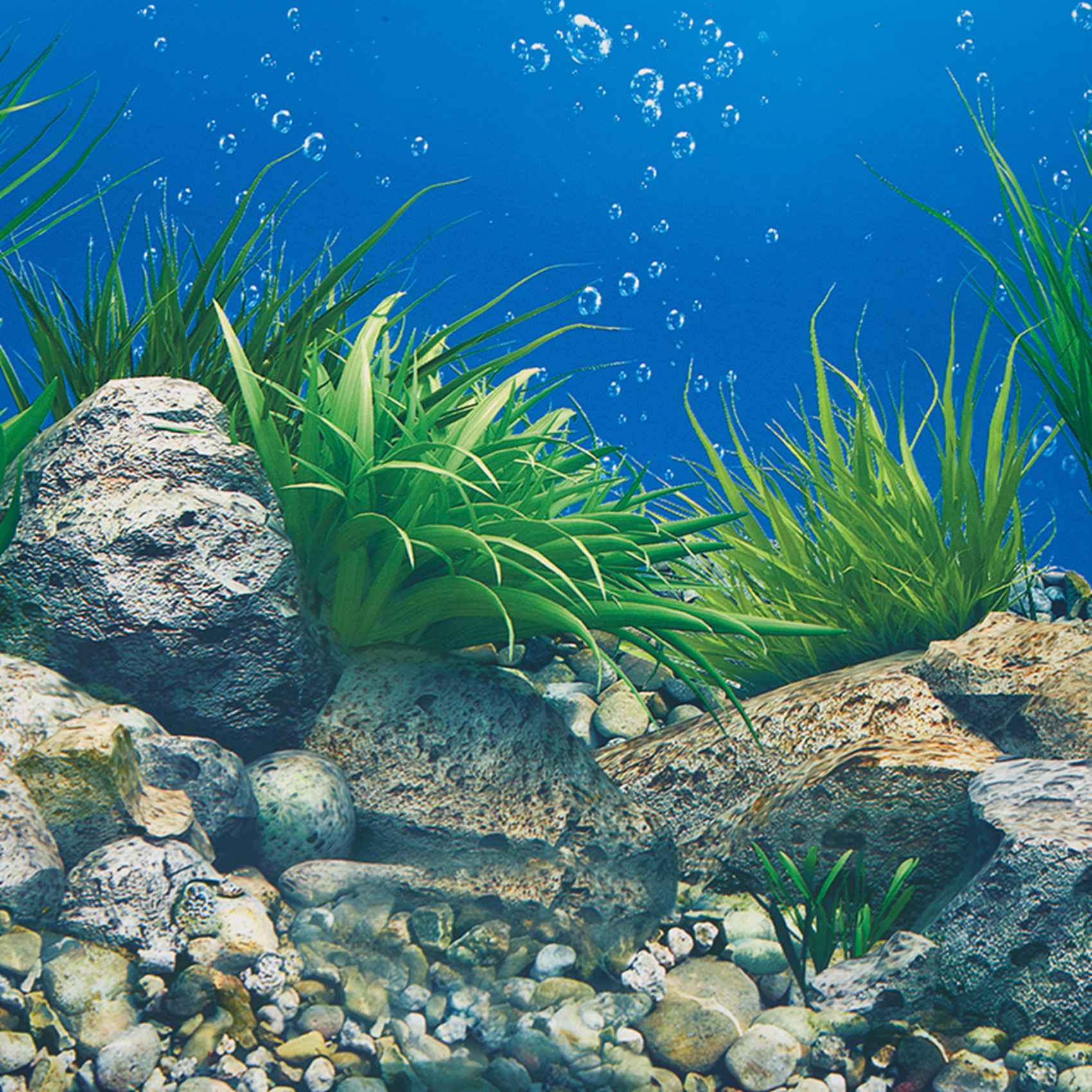 Papier tło do akwarium ABWR, o – Aquarium Fish Wallpaper recenzja i cena