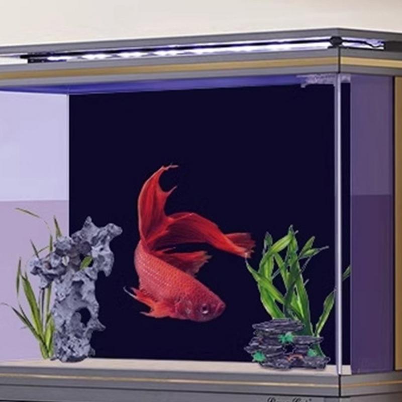 Czarne akwarium Tło Tapeta PVC – Aquarium Fish Wallpaper recenzja i cena
