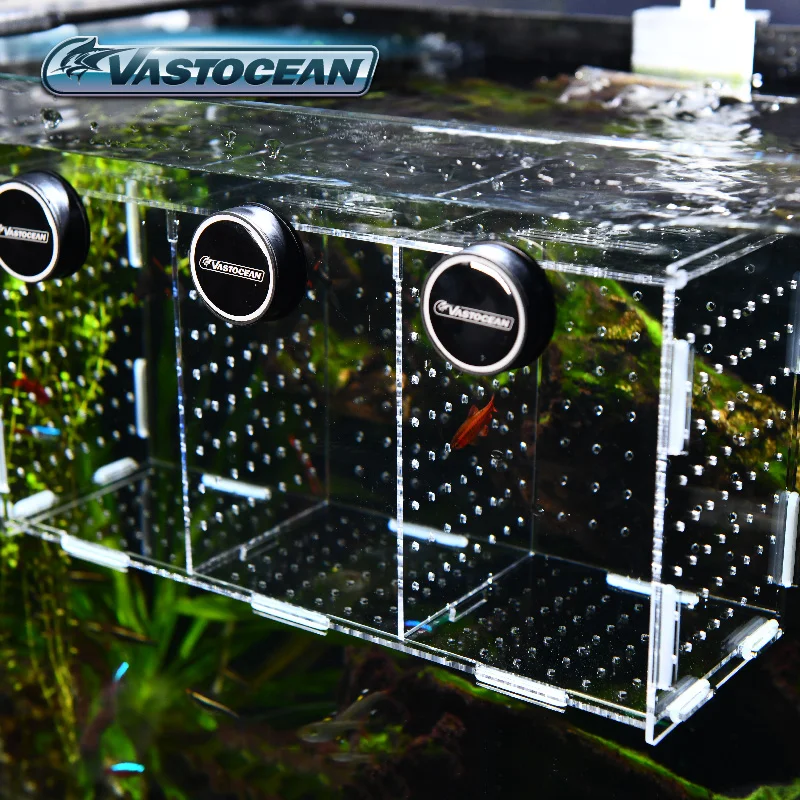 VASTOCEAN Fish Tank Magnetic C – Aquarium Fish And Supplies recenzja i cena