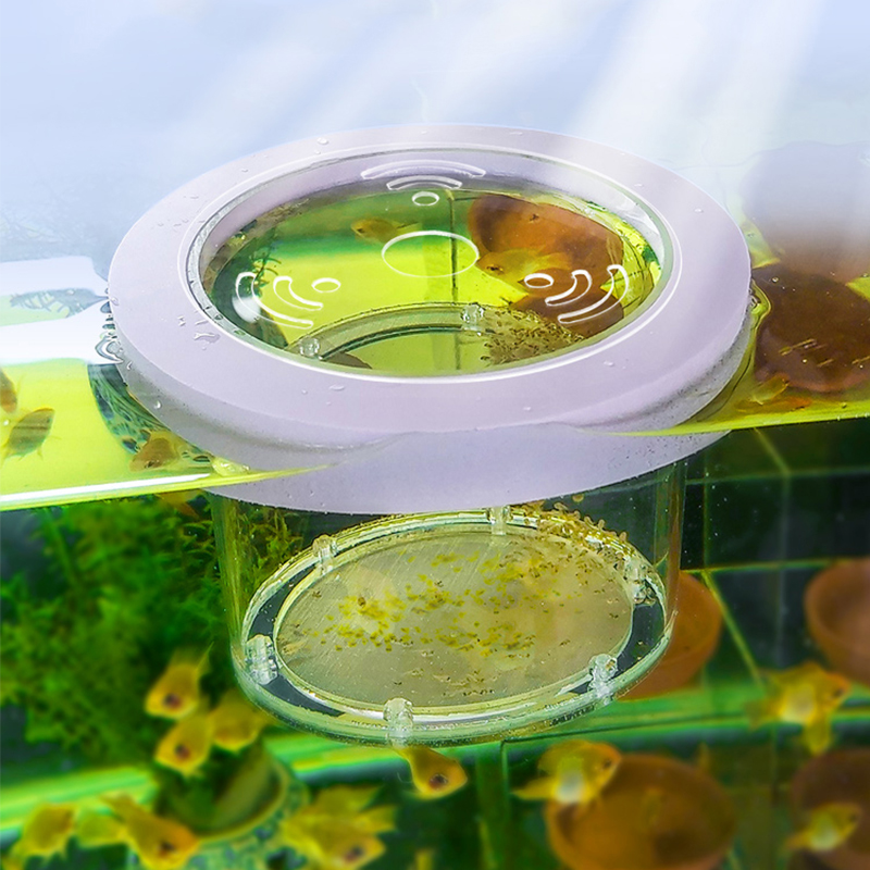Podwieszane pudełko izolacyjne – Aquarium Fish And Supplies recenzja i cena