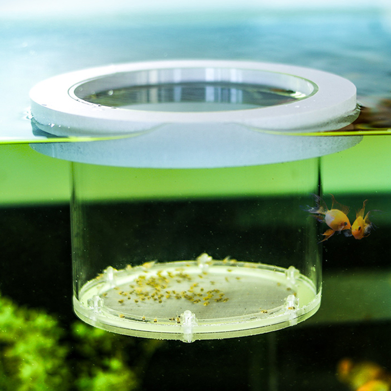 Podwieszane pudełko izolacyjne – Aquarium Fish And Supplies recenzja i cena