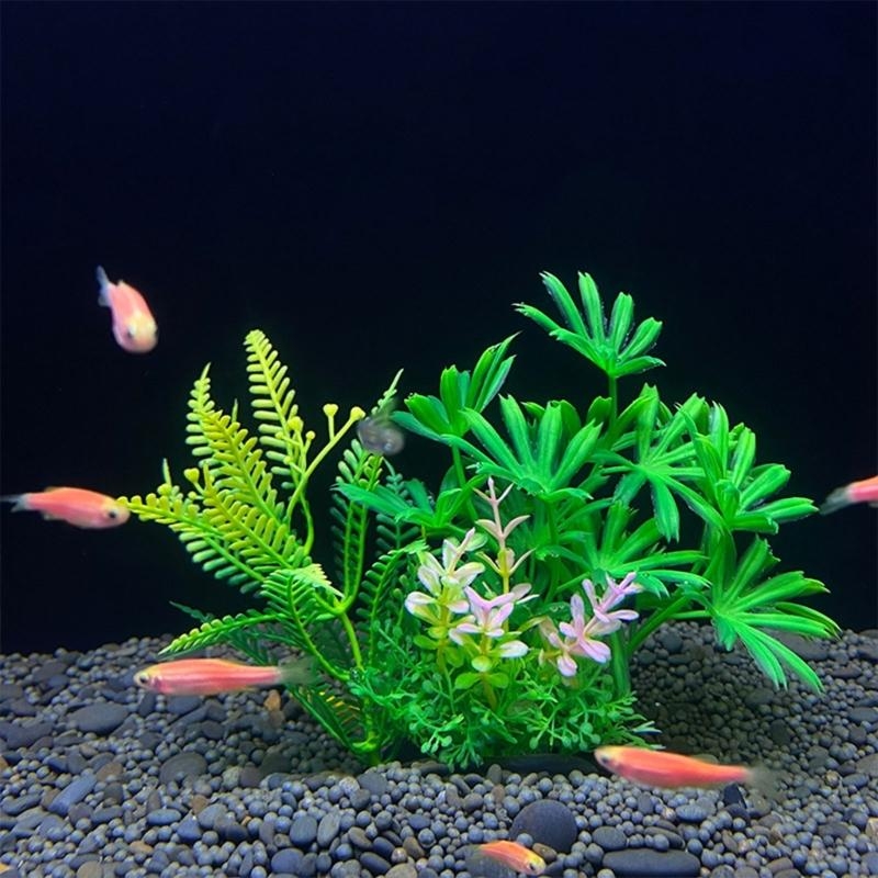 Sztuczna roślina dekoracyjna d – Aquarium Fish Sale recenzja i cena
