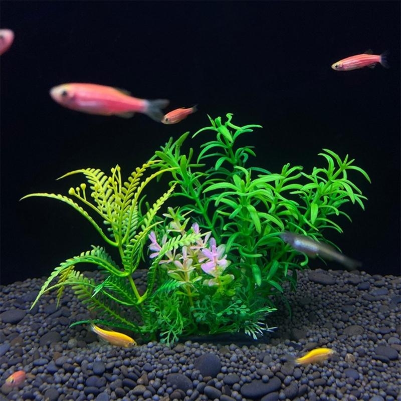 Sztuczna roślina dekoracyjna d – Aquarium Fish Sale recenzja i cena