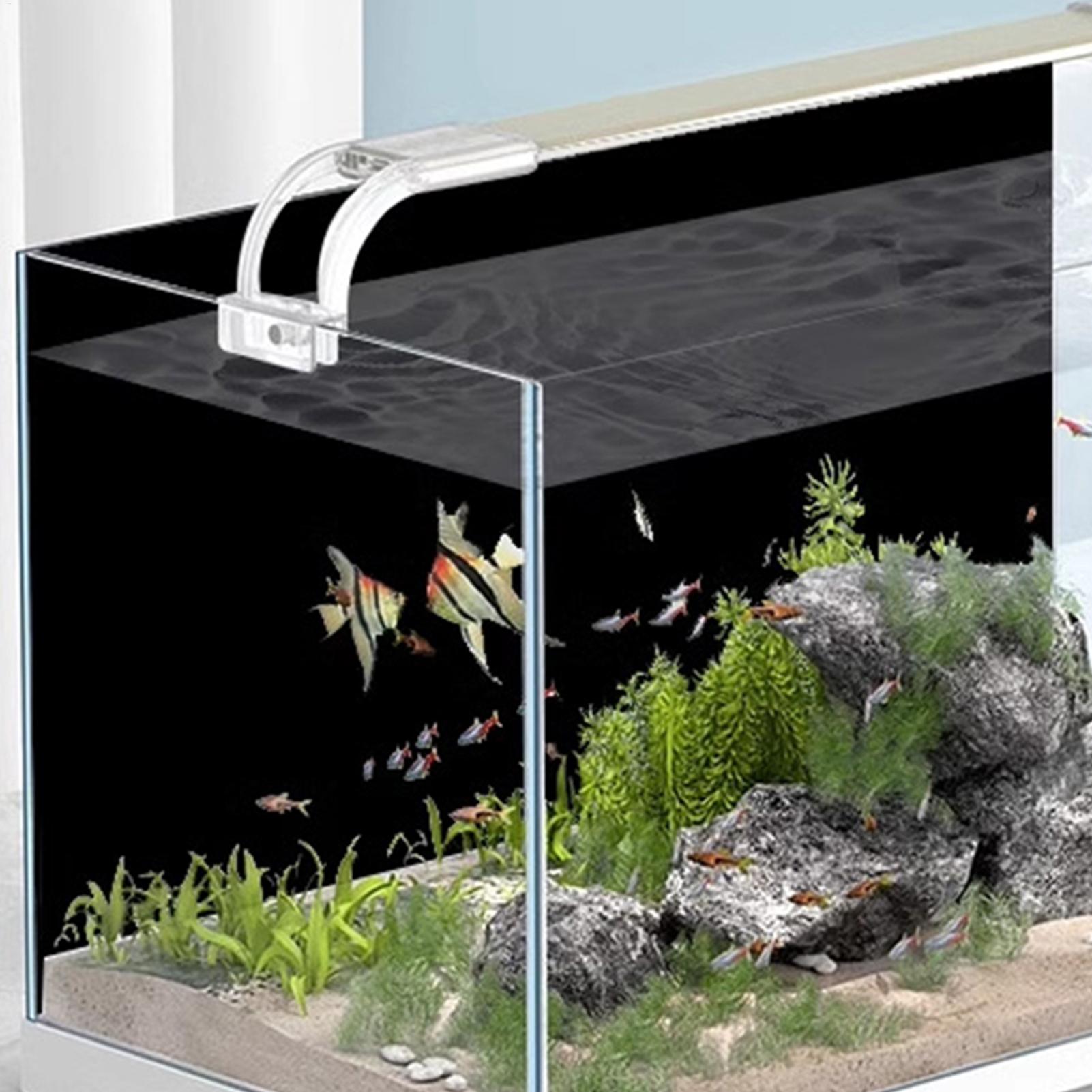 Czarny Statyczny Wzór na Tło A – Aquarium Fish Wallpaper recenzja i cena