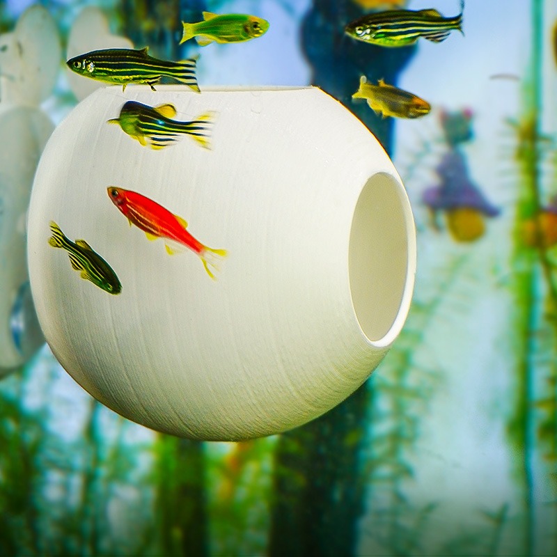 Kreatywna ozdoba do akwarium,  – Aquarium Fish Parrot recenzja i cena