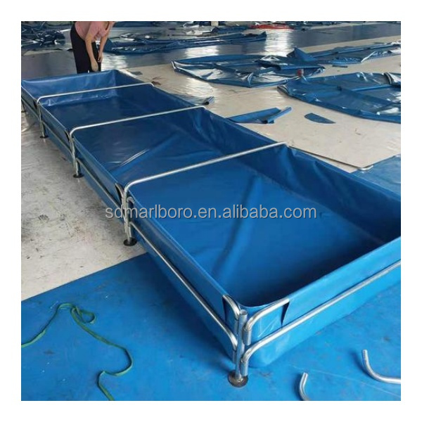 AIROW Niestandardowe, wysokiej – Aquarium Fish Sale recenzja i cena