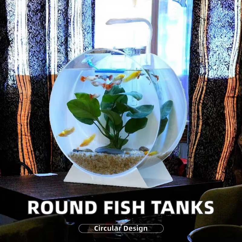Wyprzedaż Nowoczesne Ekologicz – Aquarium Fish Sale recenzja i cena