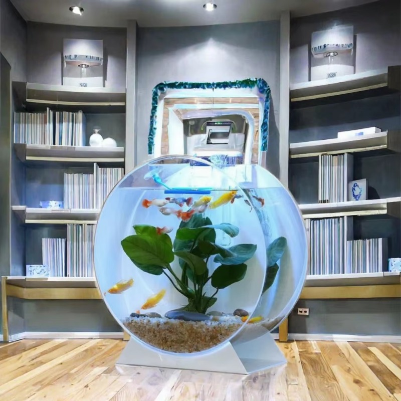 Wyprzedaż Nowoczesne Ekologicz – Aquarium Fish Sale recenzja i cena