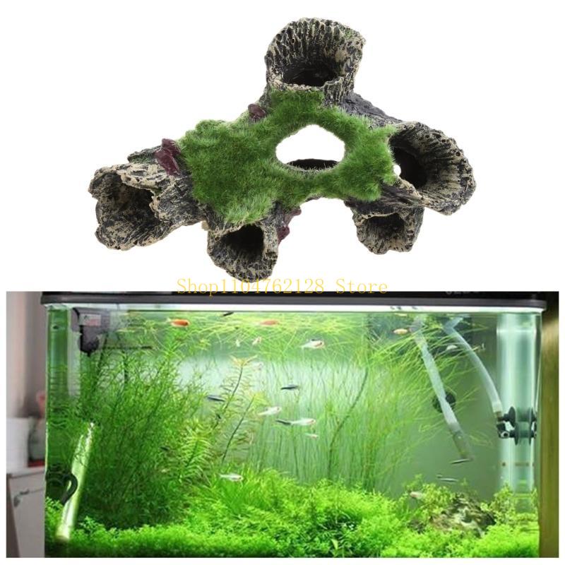 Ryba do dekoracji zbiornika Ak – Aquarium Fish Sale recenzja i cena