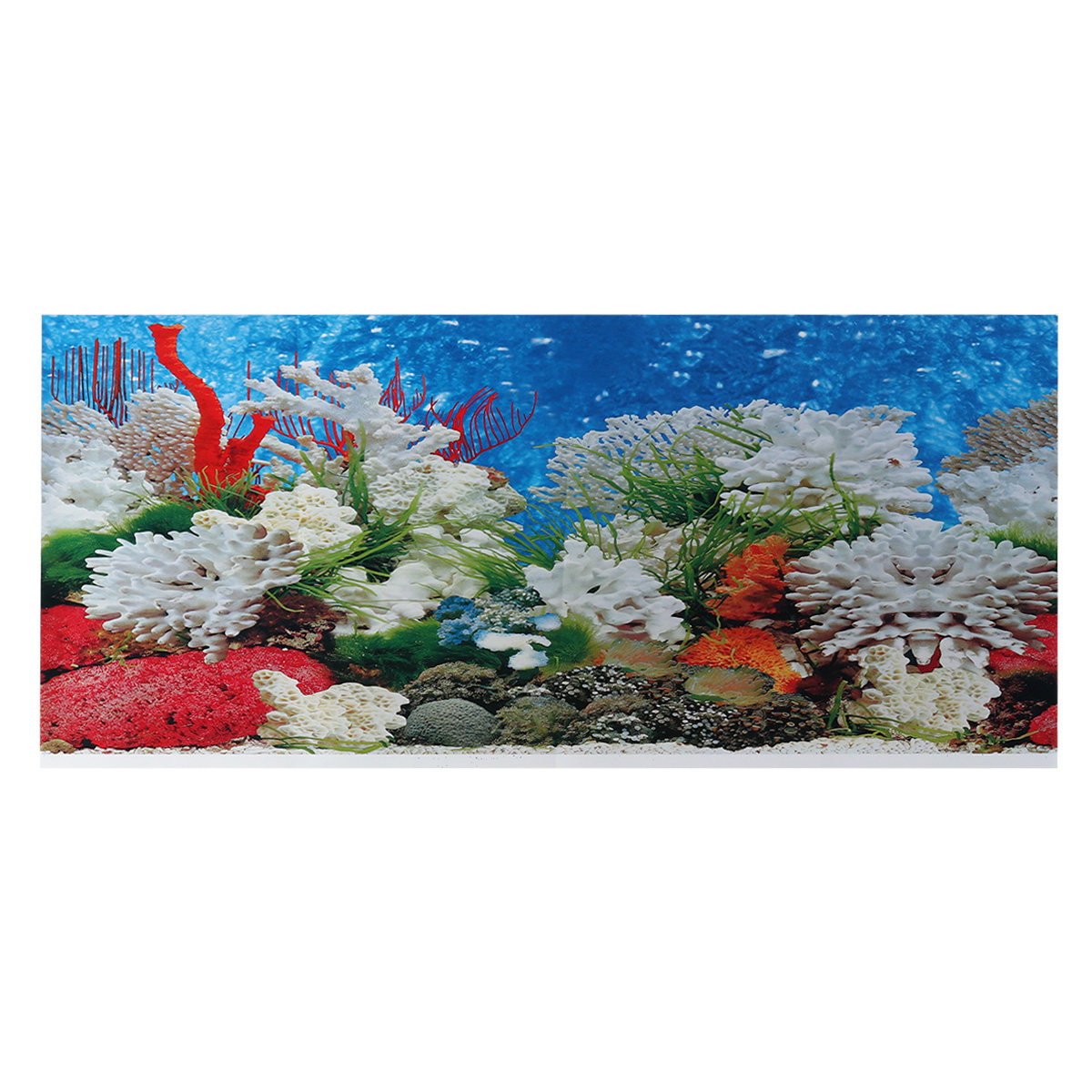 Naklejka na tło do akwarium, s – Aquarium Fish Wallpaper recenzja i cena