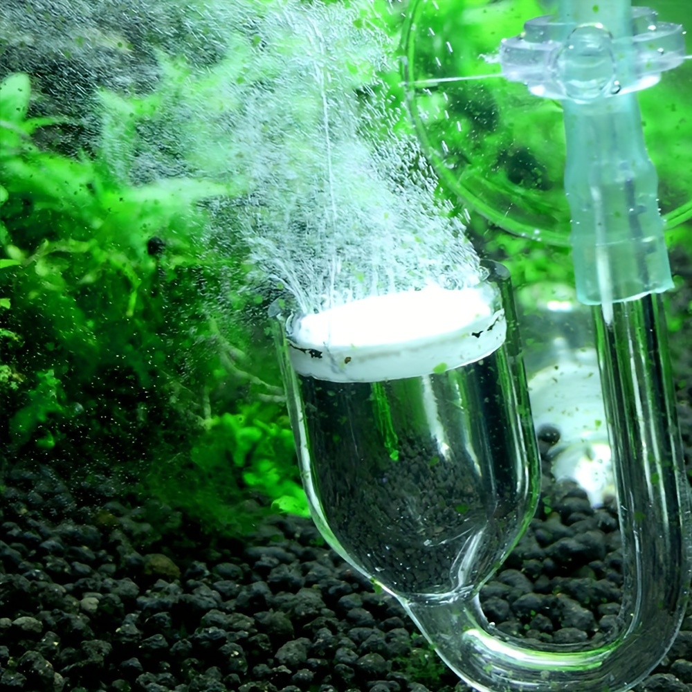 Szklany atomizer CO2 do akwari – Aquarium Fish And Supplies recenzja i cena