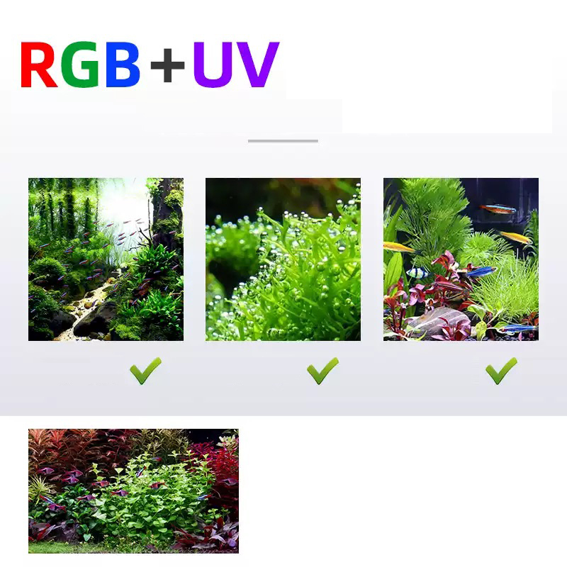 Oświetlenie LED 60cm 80cm 90cm – Aquarium Fish Sale recenzja i cena