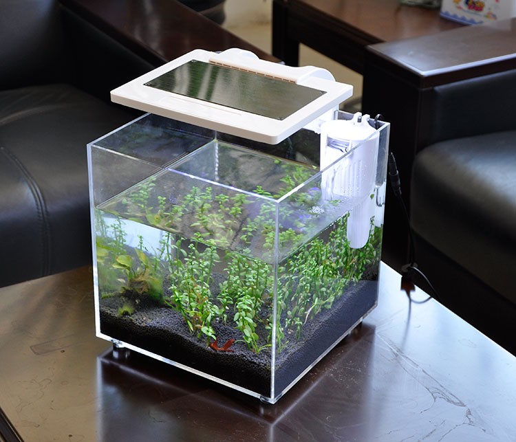 Mini Akrylowe Akwarium (25*25* – Aquarium Fish Sale recenzja i cena