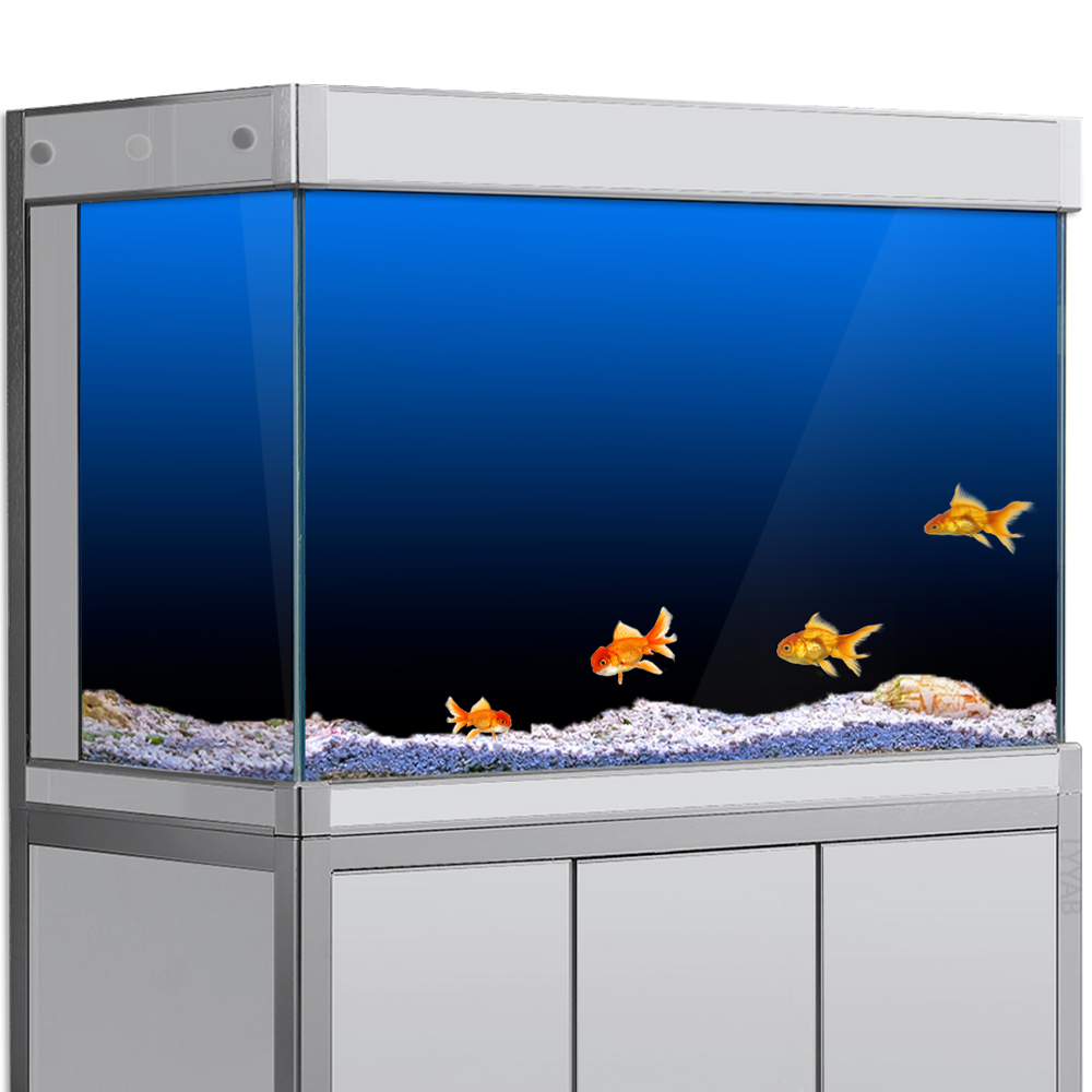 Naklejka w tle akwarium Czarny – Aquarium Fish Wallpaper recenzja i cena