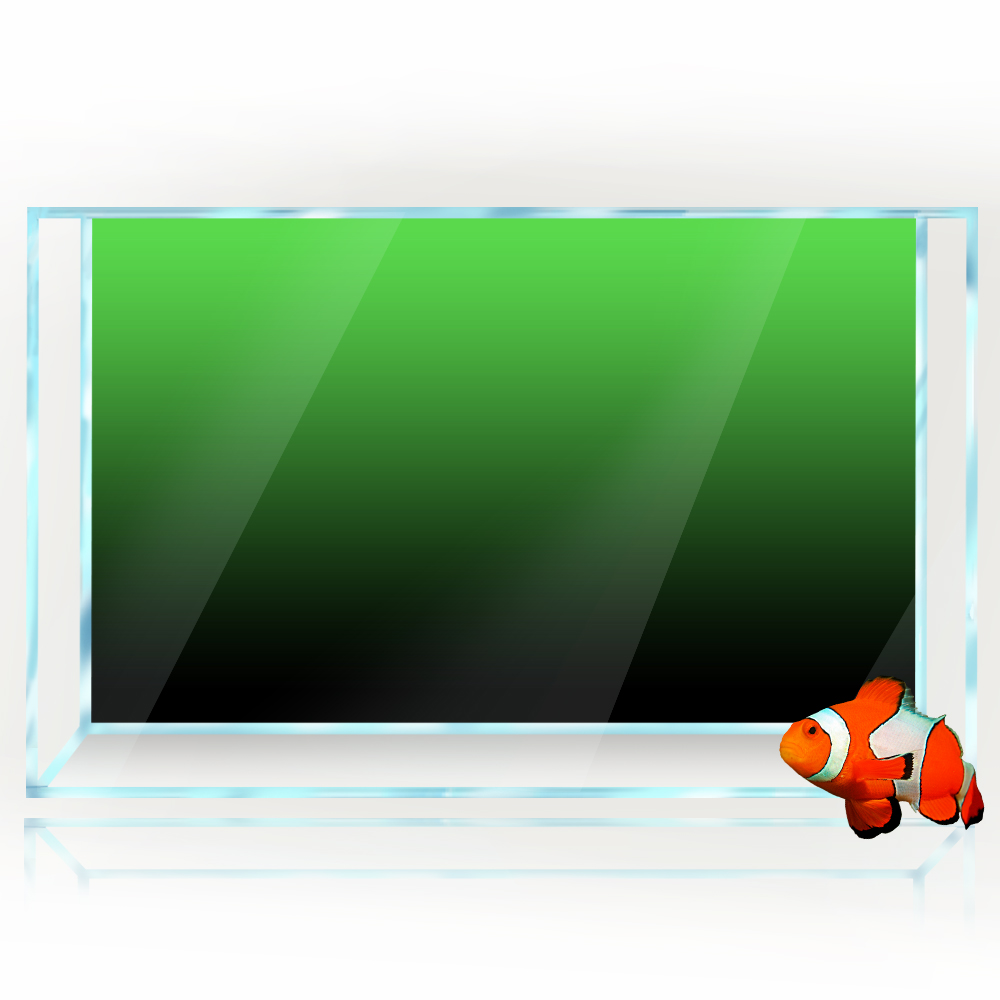 Naklejka w tle akwarium Czarny – Aquarium Fish Wallpaper recenzja i cena