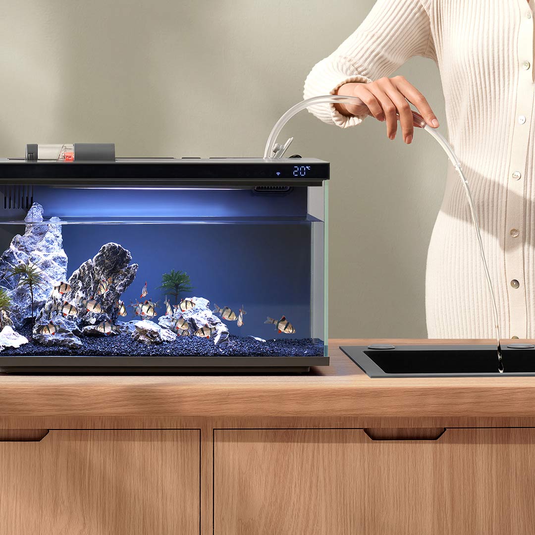 Xiaomi Mijia inteligentny akwa – Aquarium Xiaomi recenzja i cena