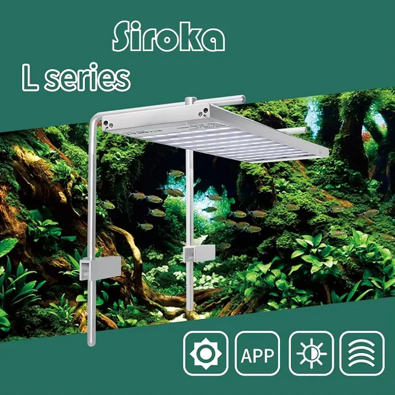 Gorąca Wyprzedaż Srebrna Lampa – Aquarium Fish Sale recenzja i cena
