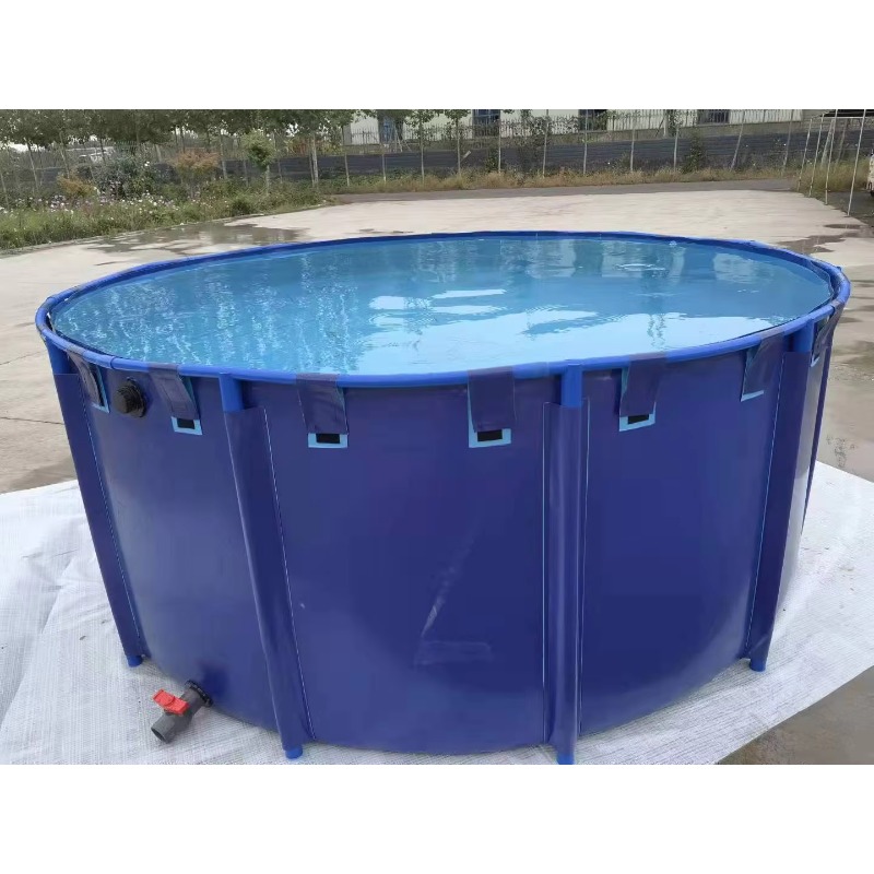 Hurtowa Produkcja na Zamówieni – Aquarium Fish Popular recenzja i cena