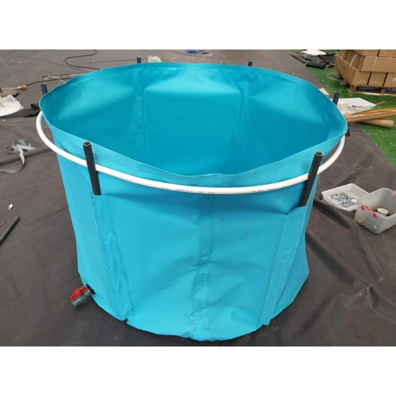 Hurtowa Produkcja na Zamówieni – Aquarium Fish Popular recenzja i cena