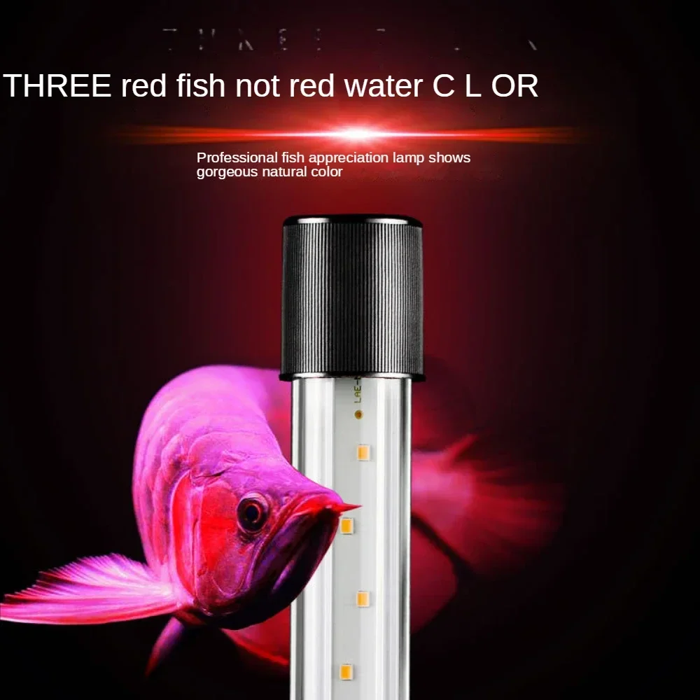 Lampa Arowana, LED Szklana Lam – Aquarium Fish Parrot recenzja i cena